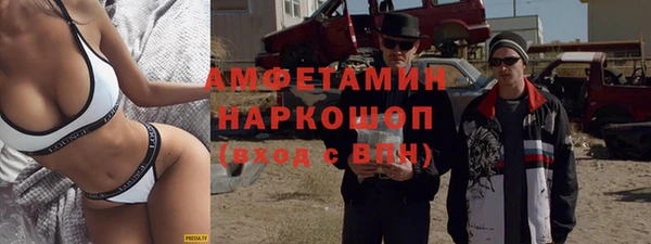 стаф Алзамай